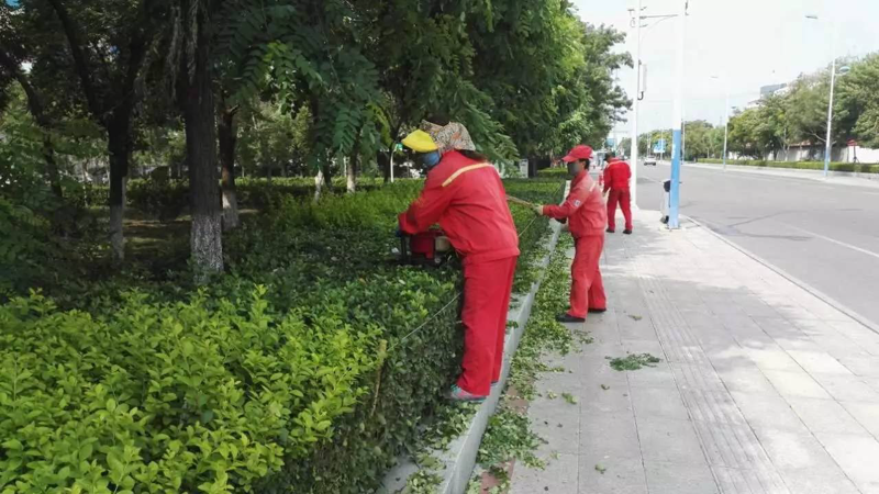小区物业:管理的艺术